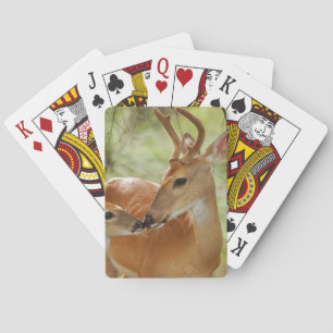 Whitetail Buck en Fawn Bonding Pokerkaarten