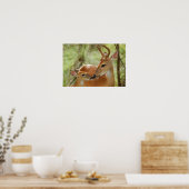 Whitetail Buck en Fawn Bonding Poster (Keuken)