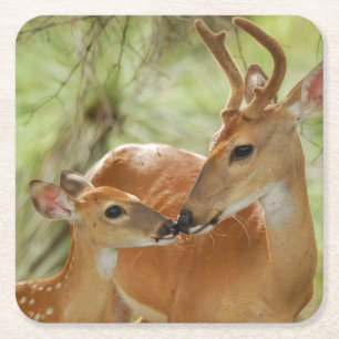 Whitetail Buck en Fawn Bonding Vierkante Kartonnen Onderzetter