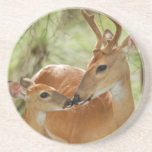 Whitetail Buck en Fawn Bonding Zandsteen Onderzetter