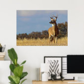 Whitetail Buck Framed Print (Thuiskantoor)