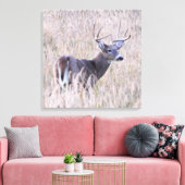 Whitetail Buck in Meadow Canvas Afdruk (Insitu (Woonkamer))