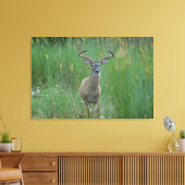 Whitetail Buck in Zomerveld Canvas Afdruk (Insitu (Woonkamer))