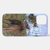 Whitetail Buck iPhone / coque ipad (Verso (horizontal))