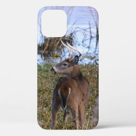 Whitetail Buck iPhone/iPad case