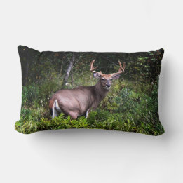 Whitetail Buck Lumbar Coussin