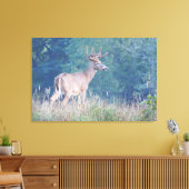 Whitetail Buck Natuur Portret Canvas Afdruk (Insitu (Woonkamer))