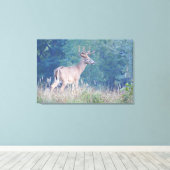 Whitetail Buck Natuur Portret Canvas Afdruk (Insitu (Houten vloer))
