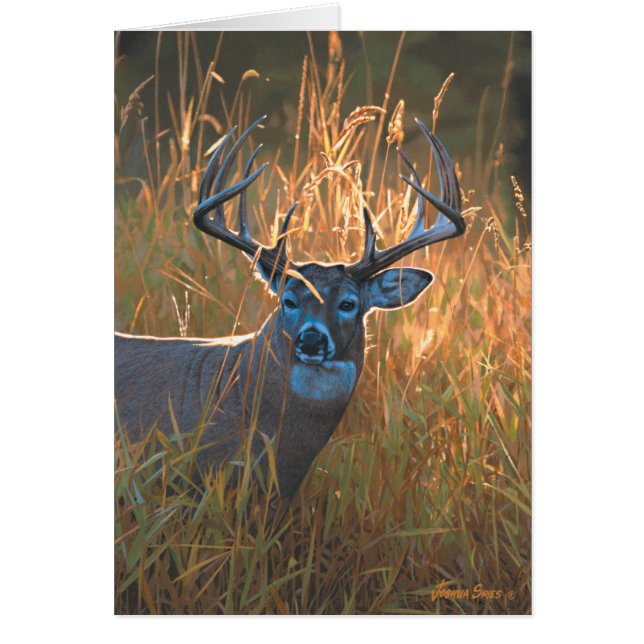 Whitetail Deer (Devant)