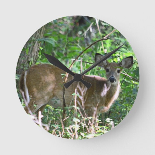 Whitetail Deer Acrylwand Ronde Klok (Voorkant)