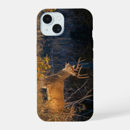 Whitetail Deer, Big Buck aan de rand. iPhone 15 Hoesje