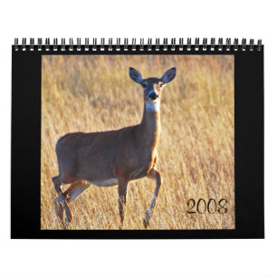 Whitetail Deer bij de Dune's. Kalender