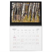 Whitetail Deer bij de Dune's. Kalender (Mar 2026)