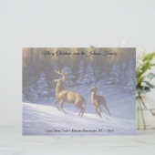 Whitetail Deer Buck & Doe in wintersneeuw Briefhoofd (Staand voorkant)