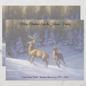 Whitetail Deer Buck & Doe in wintersneeuw Briefhoofd (Voorkant / Achterkant)