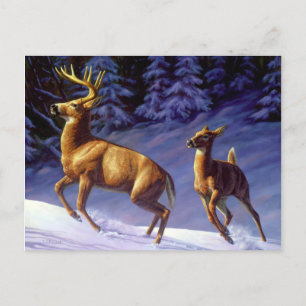 Whitetail Deer Buck & Doe in wintersneeuw Briefkaart