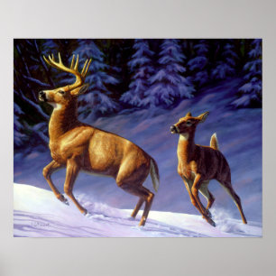 Whitetail Deer Buck & Doe in wintersneeuw Poster