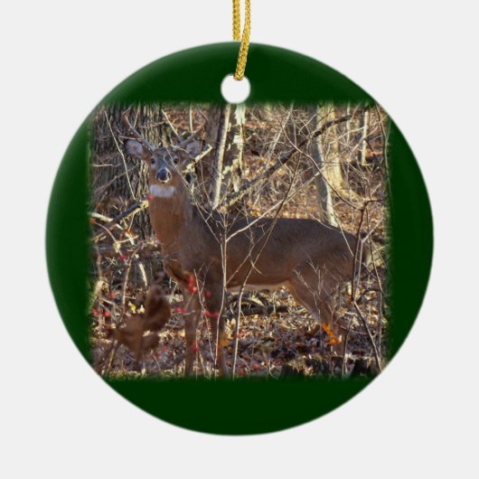 Whitetail Deer Buck Ornament aan Personaliseren (Voorkant)
