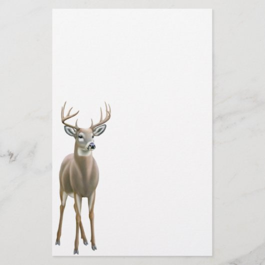 Whitetail Deer Buck Stationery Briefpapier (Voorkant)