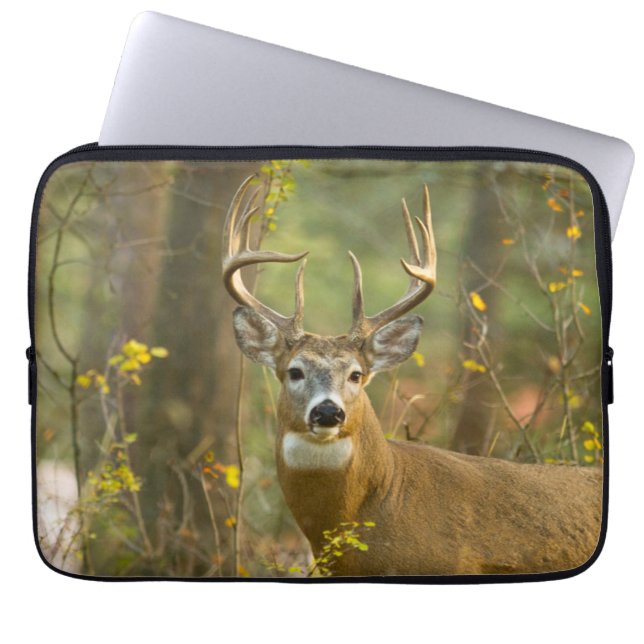 Whitetail Deer Buck | Whitefish, Montana Laptop Sleeve (Voorkant)