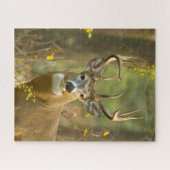 Whitetail Deer Buck | Whitefish, Montana Legpuzzel (Horizontaal)