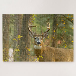 Whitetail Deer Buck   Whitefish, Montana Legpuzzel