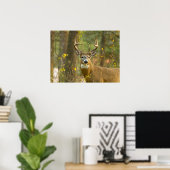 Whitetail Deer Buck | Whitefish, Montana Poster (Thuiskantoor)