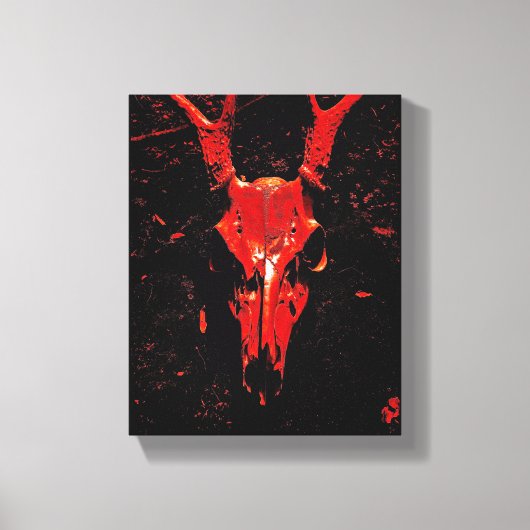 Whitetail Deer Canvas Afdruk (Voorkant)