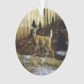 Whitetail Deer Doe dans la forêt d'automne (devant)