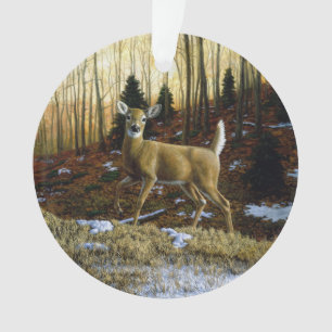 Whitetail Deer Doe dans la forêt d'automne