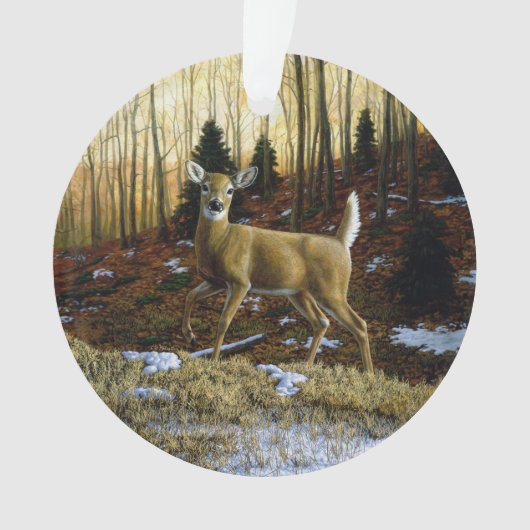 Whitetail Deer Doe dans la forêt d'automne (devant)