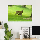 WhiteTail Deer (Doe en Fawn)-Poster Poster (Thuiskantoor)