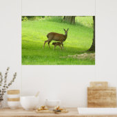 WhiteTail Deer (Doe en Fawn)-Poster Poster (Keuken)