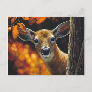 Whitetail Deer Face Fall Colors Briefkaart