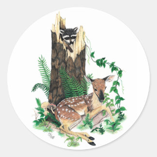 Whitetail Deer Fawn and Raccoon Sticker