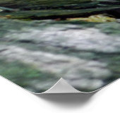 Whitetail Deer Fawn in Bossen Poster (Hoek)