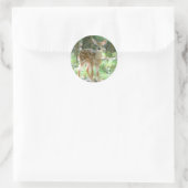 Whitetail Deer Fawn Sticker (Tas)