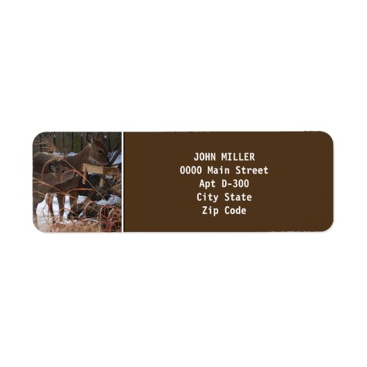 Whitetail Deer in het Etiket van het Adres van de  (Voorkant)
