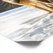 Whitetail Deer in sneeuw Foto Afdruk (Hoek)