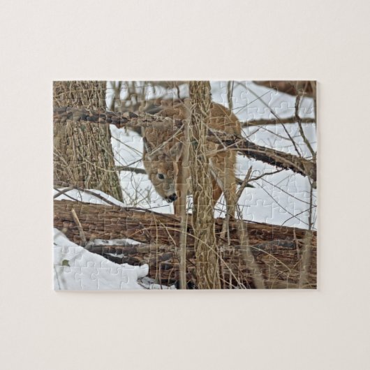 Whitetail Deer in sneeuw Legpuzzel (Horizontaal)