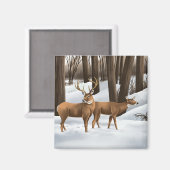 Whitetail Deer Magneet (Voorkant / Achterkant)