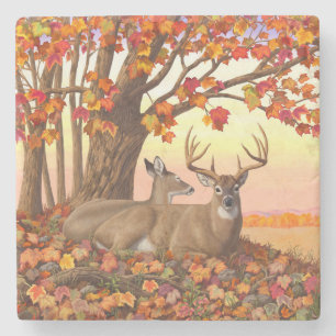 Whitetail Deer Maple Tree Oranje Stenen Onderzetter