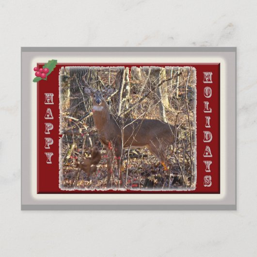 Whitetail Deer Prettige feestdagen (Voorkant)