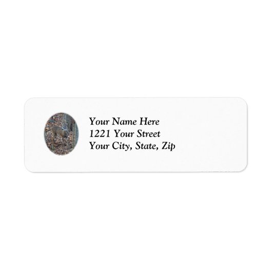 Whitetail Deer Spike Buck Series Address Label (Voorkant)