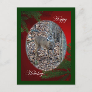 Whitetail Deer Spike Prettige feestdagen reeks