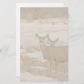 Whitetail Deer Stationery Briefpapier (Voorkant / Achterkant)