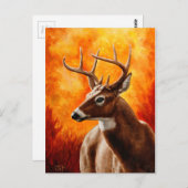 Whitetail Deer Trophy Buck Briefkaart (Voorkant / Achterkant)