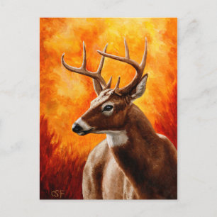 Whitetail Deer Trophy Buck Briefkaart
