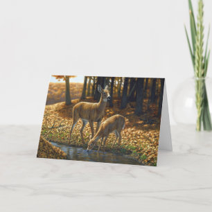 Whitetail Doe en Gemeld die van een Stroom Drink Kaart
