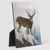 Whitetail-herder Fotoplaat (Zijkant)